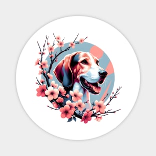 Treeing Walker Coonhound Joy in Spring Cherry Blossoms Magnet